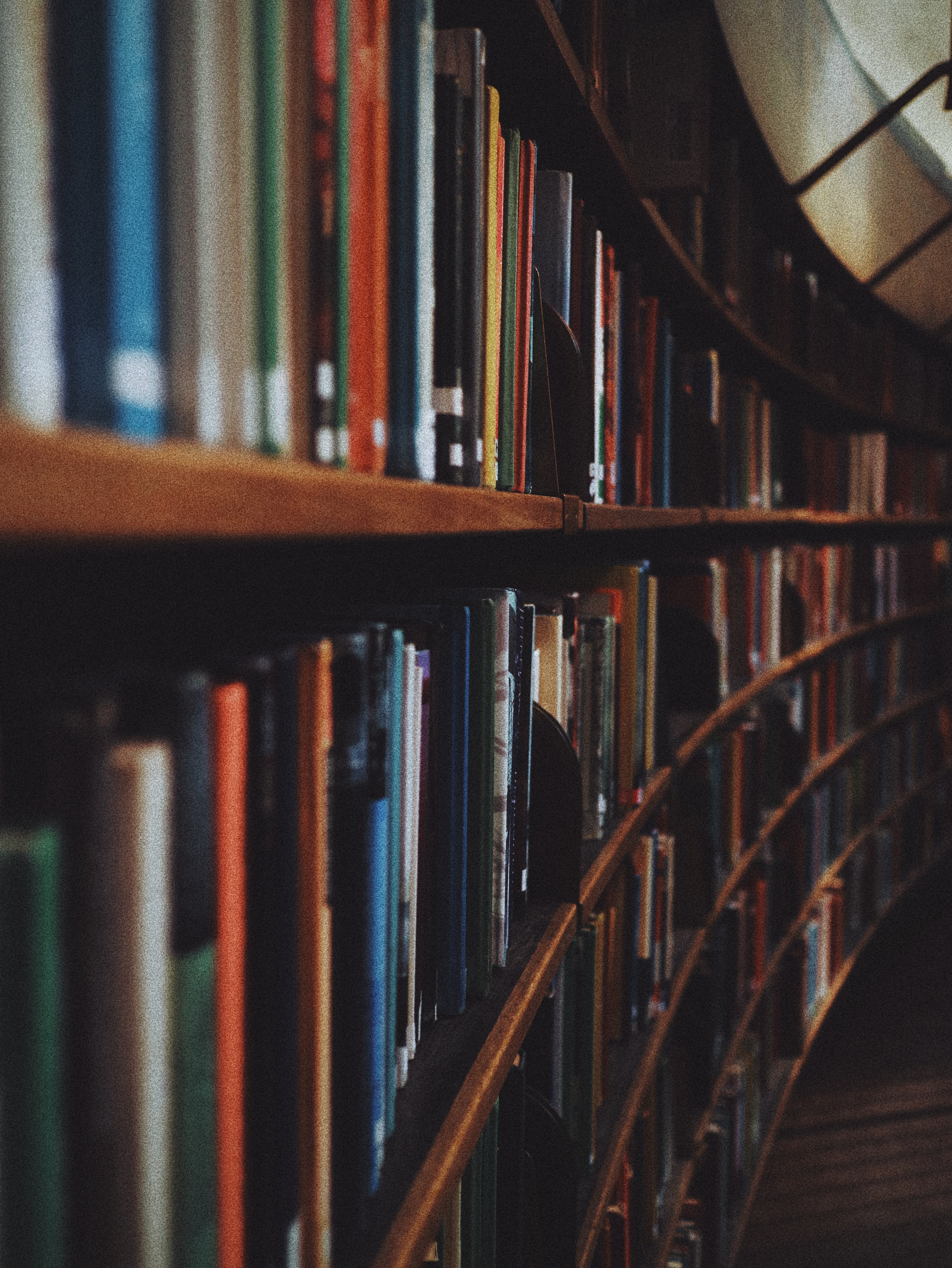 Diversity and Inclusion: 4 libri da leggere quest'estate