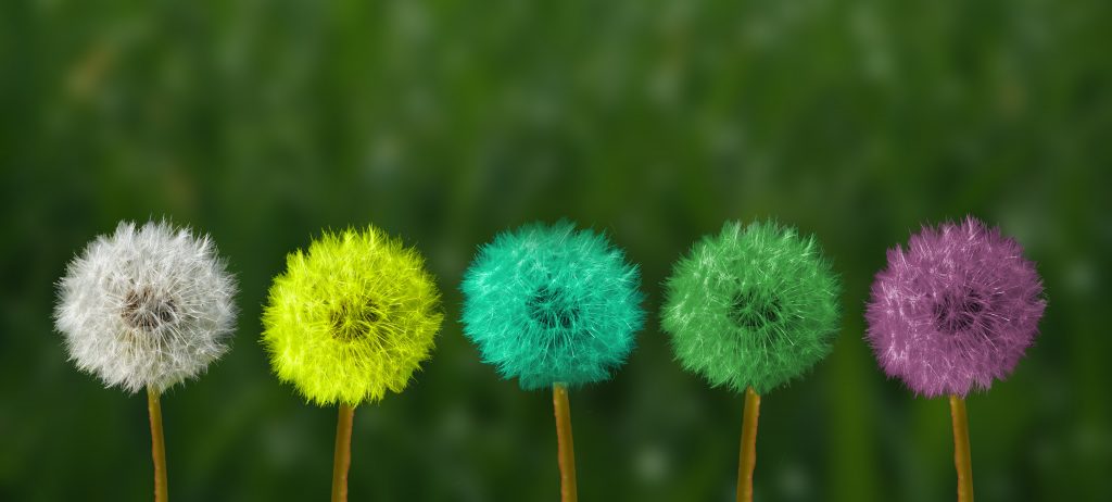 come comunicare con le Persone Altamente Sensibili 